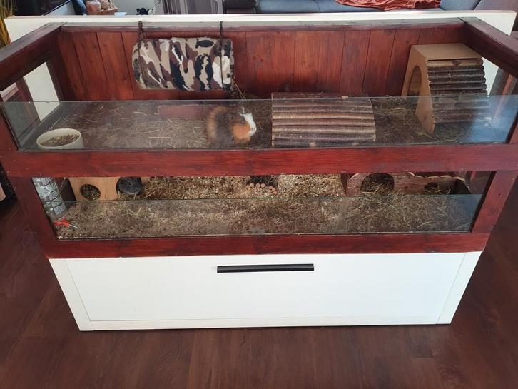 caviahok zelfgemaakt (155x55cm. 2verdiepingen!), Dieren en Toebehoren, Knaagdieren en Konijnen | Hokken en Kooien, Gebruikt, Hok