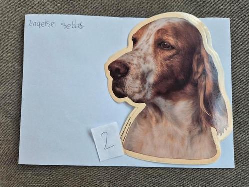 Stickers Engelse setter, Hobby en Vrije tijd, Stickers en Plaatjes, Nieuw, Meerdere stickers, Ophalen of Verzenden
