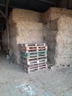 Te koop hooi., Dieren en Toebehoren, Ophalen of Verzenden, Vee