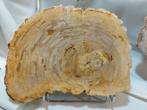 Versteend hout, Ophalen, Mineraal