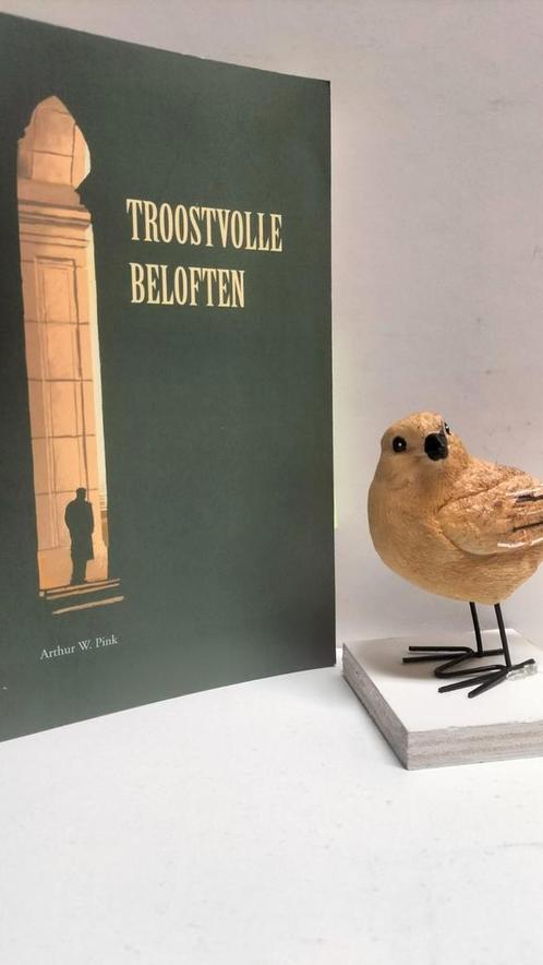 Pink, Arthur W.; Troostvolle beloften, Boeken, Godsdienst en Theologie, Gelezen, Christendom | Protestants, Ophalen of Verzenden