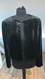 Blacky Dress nieuwe blazer fluweel groen 42, Kleding | Dames, Blouses en Tunieken, Nieuw, Groen, Maat 42/44 (L), Ophalen of Verzenden