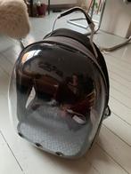 Katten transport rugzak, Ophalen of Verzenden, Zo goed als nieuw
