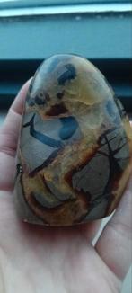 Septarie diverse stukken, Ophalen of Verzenden