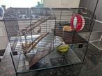 Hamster kooi incl. accessoires, Kooi, Gebruikt, Minder dan 75 cm, Hamster