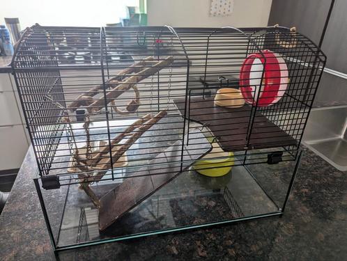 Hamster kooi incl. accessoires, Dieren en Toebehoren, Knaagdieren en Konijnen | Hokken en Kooien, Gebruikt, Kooi, Minder dan 60 cm
