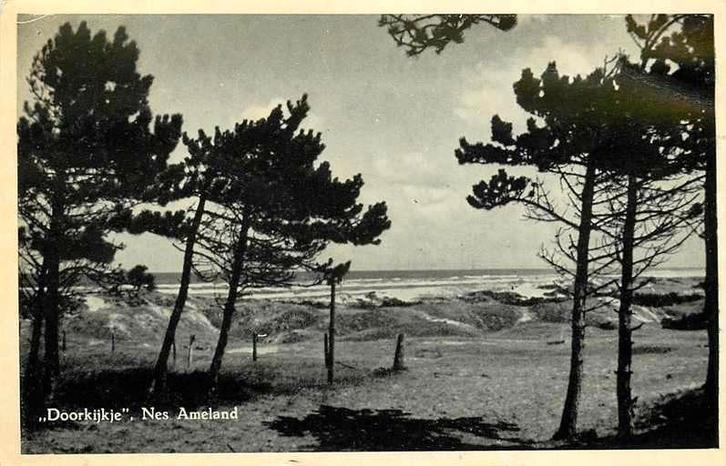 377-070-025 Nes Ameland Doorkijkje, Verzamelen, Ansichtkaarten | Nederland, Friesland, Voor 1920, Ophalen of Verzenden
