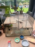 Hamsterkooi met toebehoren, Dieren en Toebehoren, Ophalen of Verzenden, Minder dan 75 cm, Kooi, Minder dan 60 cm