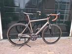 Pilot Celes titanium racefiets, Fietsen en Brommers, Gebruikt, Ophalen of Verzenden, Meer dan 20 versnellingen, 53 tot 57 cm