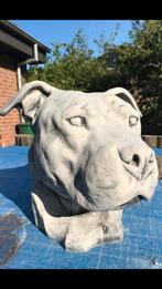 Amstaff 25 kg American Staffordshire Terrier 30 cm kop Bully, Ophalen, Nieuw, Beton, Dierenbeeld