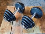 Dumbbells 2x15 Kg Tunturi, Sport en Fitness, Ophalen, Zo goed als nieuw, Benen, Dumbbell