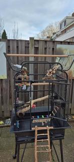 Grote vogelkooi met toebehoren, Dieren en Toebehoren, Ophalen, Metaal, Vogelkooi