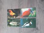 4 telefoonkaarten Turkije met vogels, Ophalen of Verzenden