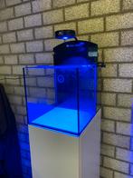 Nano Zee Aquarium - Aqua Medic Blenny Qube 80 liter, Dieren en Toebehoren, Vissen | Aquaria en Toebehoren, Gebruikt, Ophalen, Leeg aquarium