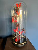 Mooie glazen stolp met rode vlinders, Huis en Inrichting, Woonaccessoires | Stolpen, Nieuw, Ophalen