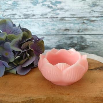 Lotus bloemen beschikbaar voor biedingen