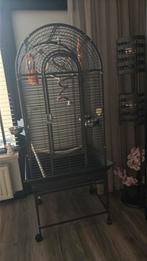 Papegaaien kooi, Dieren en Toebehoren, Vogels | Hokken en Kooien, Ophalen of Verzenden, Zo goed als nieuw, Metaal, Vogelkooi