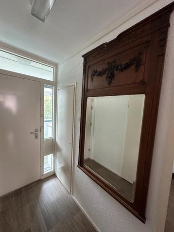 antieke spiegel 171x99CM beschikbaar voor biedingen