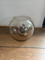 Vissenkom, Dieren en Toebehoren, Ophalen, Leeg aquarium