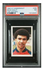 Vanderhout topvoetbal 80/81 Ruud Gullit Haarlem, Ophalen of Verzenden, Zo goed als nieuw, Poster, Plaatje of Sticker
