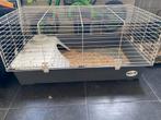 Gratis Knaagdieren /konijnen kooi, Dieren en Toebehoren, Minder dan 60 cm, Kooi, Ophalen of Verzenden, Zo goed als nieuw