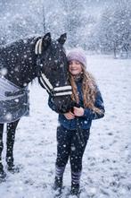 GEZOCHT beginners/bomproof ruin, Ruin, Recreatiepaard