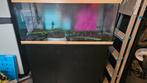 Juwel 180 incl kast en externe filter, Ophalen, Gebruikt, Leeg aquarium
