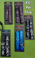 Diverse Nieuwe Honden Riemen met Halsband €5,- Per Stuk, Ophalen of Verzenden, Nieuw, Hondenriem