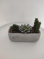 Kunstplanten in betonnen pot, Ophalen, Binnen