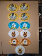 Taplensen brouwerij t'IJ, Verzamelen, Biermerken, Ophalen of Verzenden, Zo goed als nieuw, Glas of Glazen, Overige merken