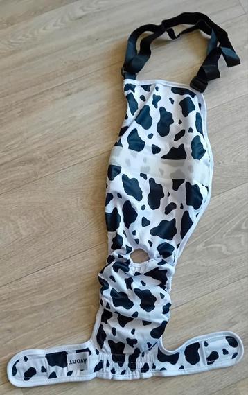 Honden omslagbroek  beschikbaar voor biedingen