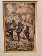 Knotwilgen - gesigneerde ets kleine oplage 11/12, Antiek en Kunst, Kunst | Etsen en Gravures, Ophalen of Verzenden