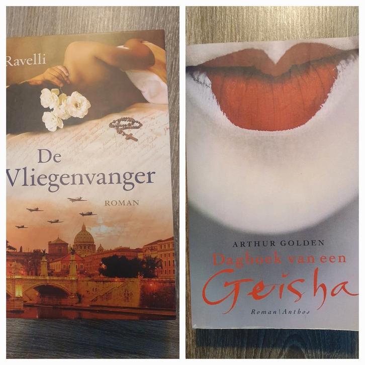 1 koop: De vliegenvanger & Dagboek van een geisha, Boeken, Historische romans, Zo goed als nieuw, Ophalen of Verzenden