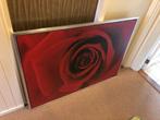 Foto/poster roos., Huis en Inrichting, Woonaccessoires | Schilderijen, Tekeningen en Foto's, Ophalen, Minder dan 50 cm, Zo goed als nieuw