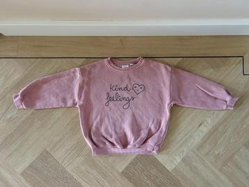 Roze sweater / trui van Zara met print, maat 104 / 110 beschikbaar voor biedingen