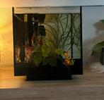 Aquarium starterset qubic 30 met veel extra’s superfish, Ophalen, Superfish, 0000XG, Zo goed als nieuw