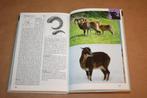 Europese zoogdieren - Natuurgids in kleur, Boeken, Ophalen of Verzenden, Gelezen, Vogels