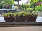 Ikea rieten mand met nepbloemen, Ophalen, Gebruikt, Mand, Riet