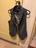 Grijze heren, dames gilet - Patrick Lusink, Ophalen of Verzenden, Zo goed als nieuw, Maat 52/54 (L), Grijs
