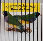 Koppel gould amadines, Meerdere dieren, Tropenvogel, Geringd