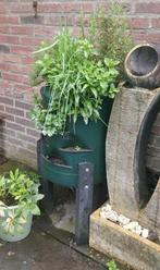 Balkon ton, kruiden- en moestuin op je balkon, Zomer, Ophalen of Verzenden, Overige soorten, Volle zon