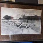 Eta Mauve, Ophalen, Gebruikt, Dier