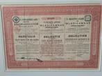 oude antieke obligatie, Postzegels en Munten, Aandelen en Waardepapieren, Ophalen of Verzenden, Obligatie of Lening