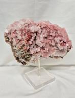 Roze Haliet, Verzenden