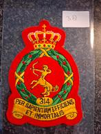 Patch 314 Squadron, Ophalen of Verzenden, Zo goed als nieuw, Patch, Badge of Embleem