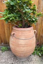 GROTE 105 cm hoge TERRACOTTA Griekse amfoor TUINVAAS +/-1950, Ophalen, Gebruikt