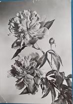 Ansichtkaart Duitsland Pinksteren Pfingsten, Ophalen of Verzenden, 1940 tot 1960, Gelopen, Feest(dag)