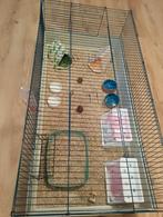 Vakantieopvang cavia's Gelderland , bij Arnhem, Kooi, 110 cm of meer, Nieuw, Cavia