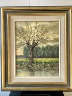 Cor Quax, Antiek en Kunst, Ophalen of Verzenden