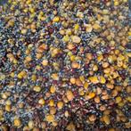 Tijgernoten,Boekweit,Hennep,Rode en Gele Mais, Ophalen of Verzenden, Nieuw, Overige typen